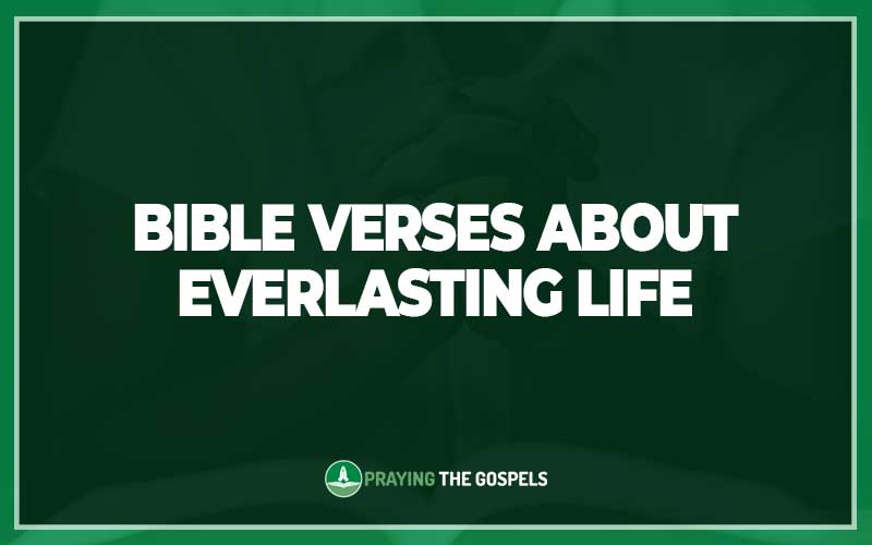 Bible Verses About Everlasting Life