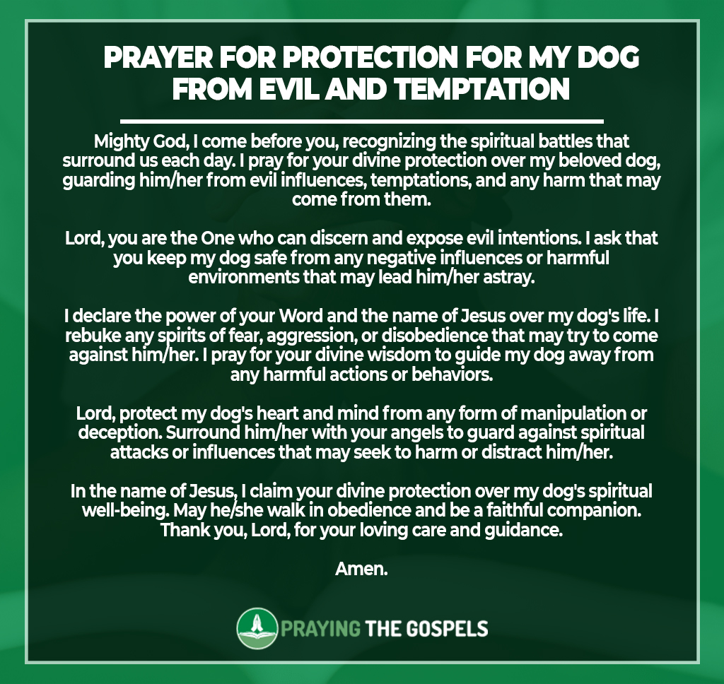 Prayers for Protection for My Dog