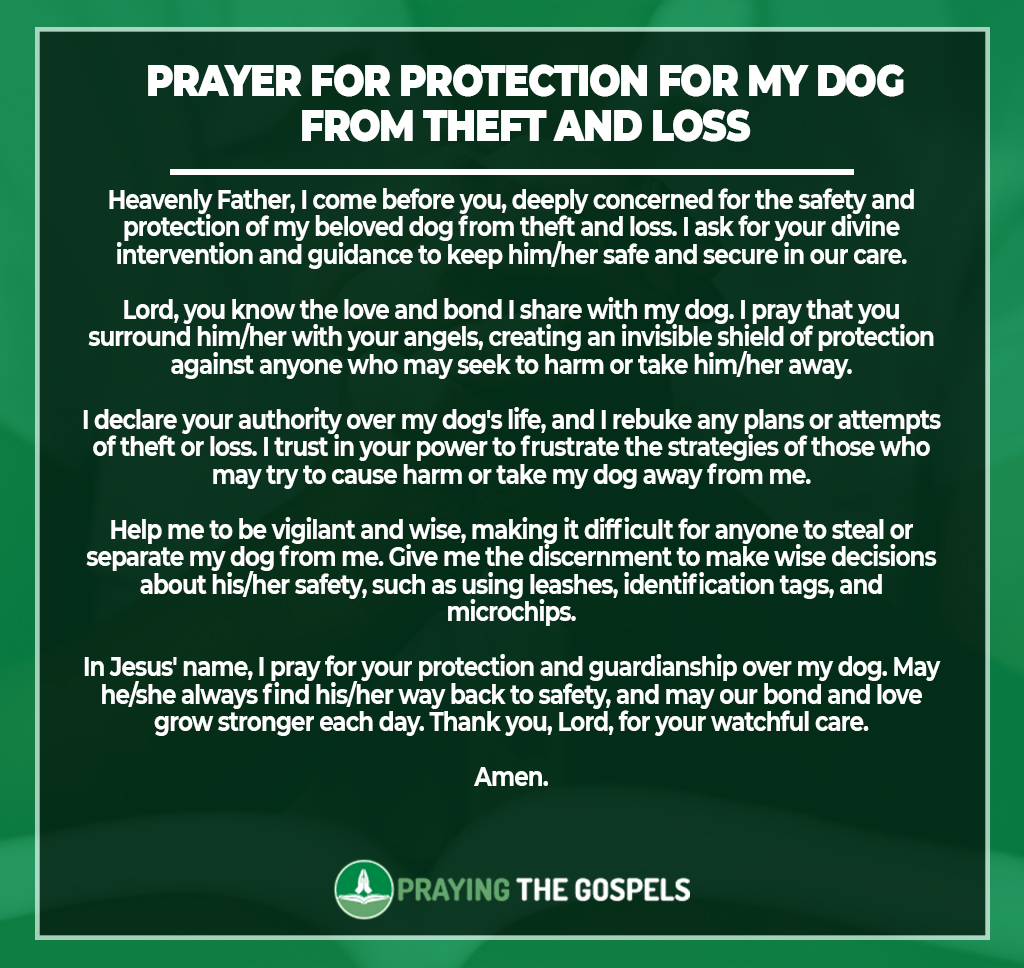 Prayers for Protection for My Dog