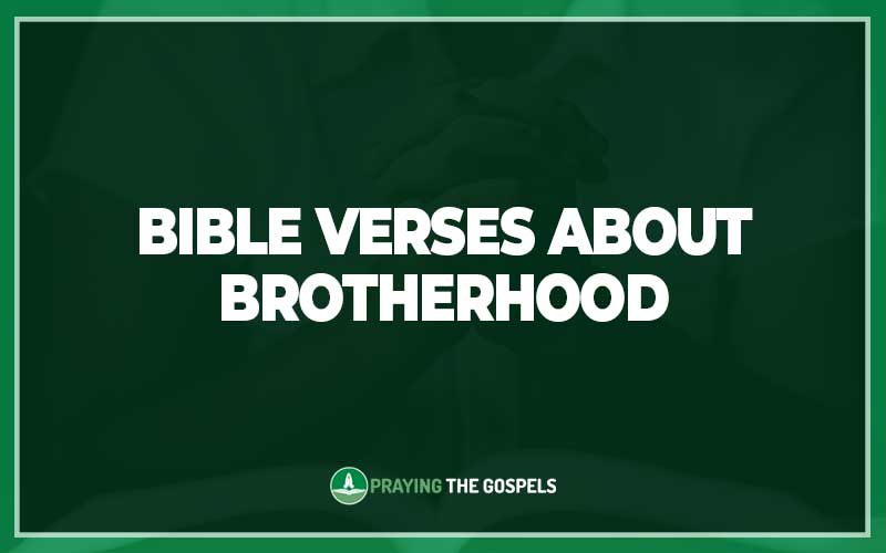 Bible Verses About Brotherhood