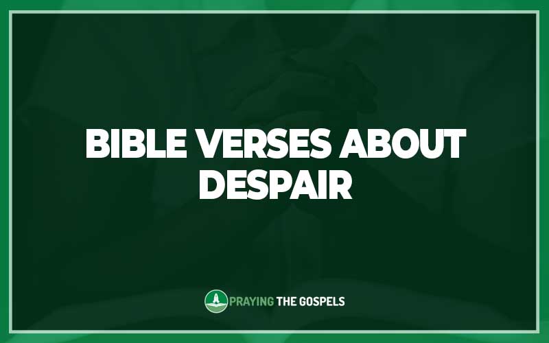 Bible Verses About Despair
