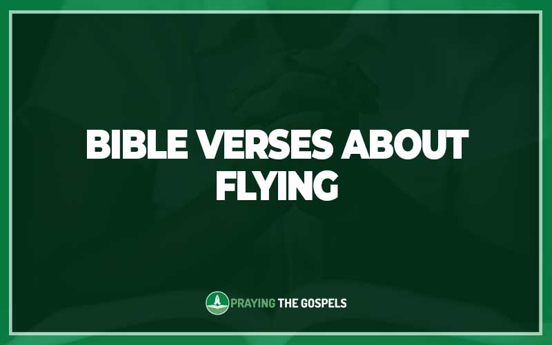 Bible Verses About Flying