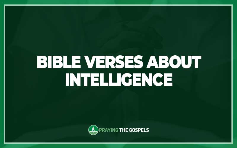 Bible Verses About Intelligence