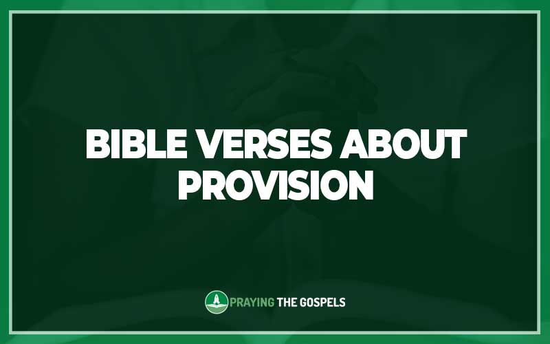 Bible Verses About Provision