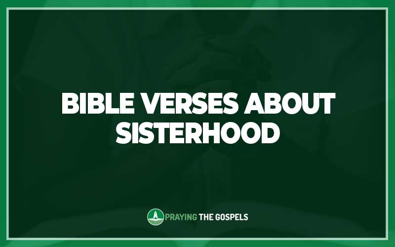 Bible Verses About Sisterhood