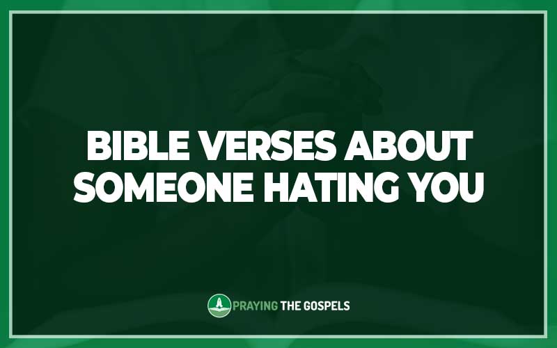 Bible Verses About Someone Hating You