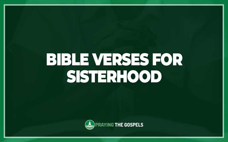 Bible Verses For Sisterhood