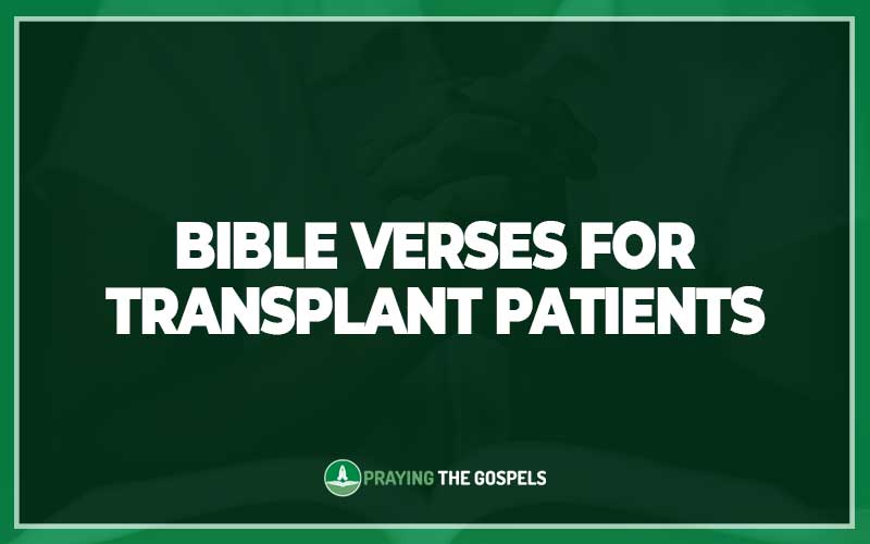 Bible Verses for Transplant Patients