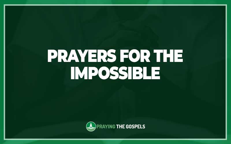 Prayers for the Impossible